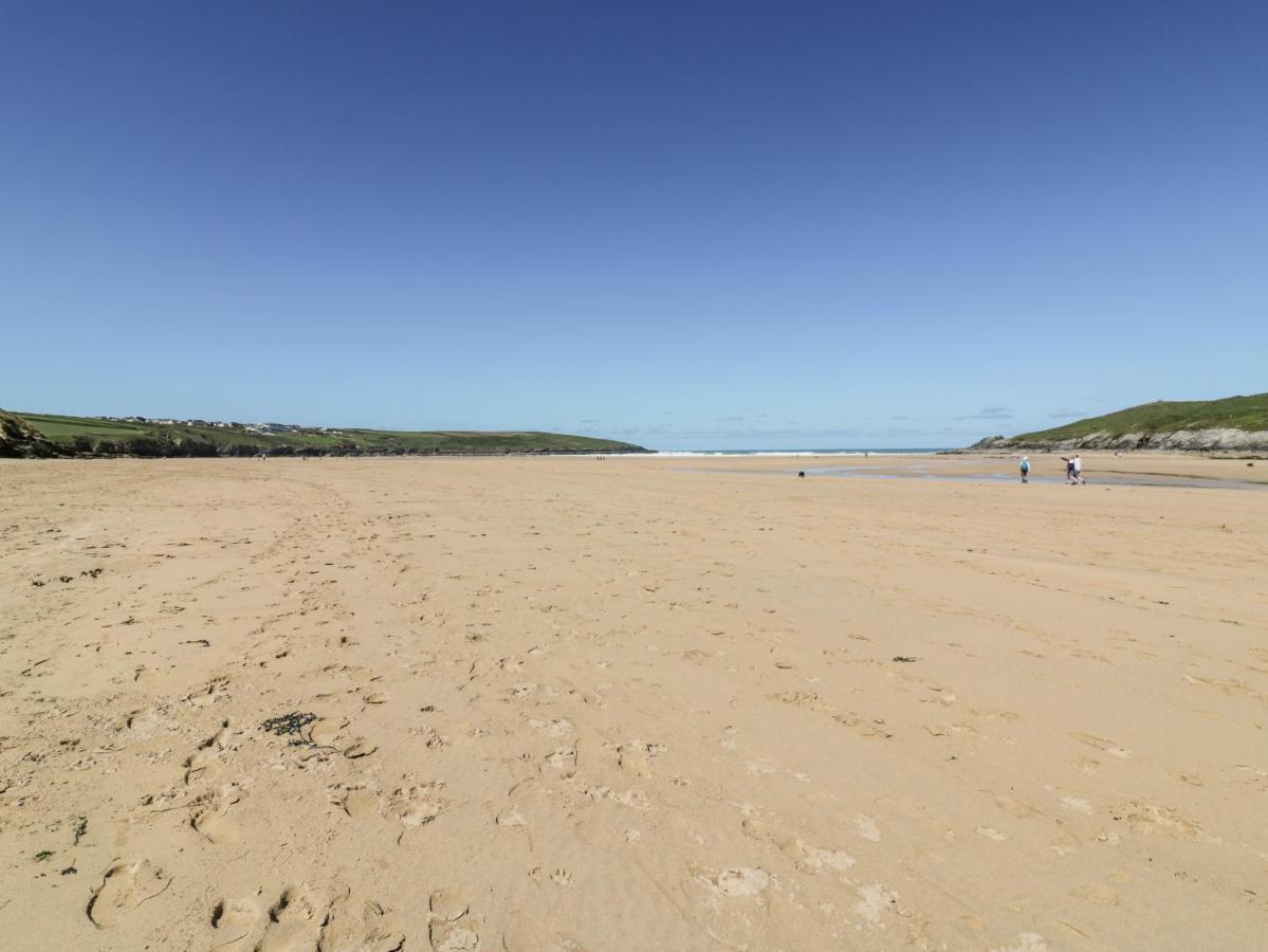Appartamento Crabs And Lobsters New Quay Esterno foto